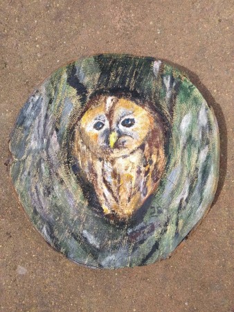 Bosuil, acryl op boomschijff,2021,Verkocht